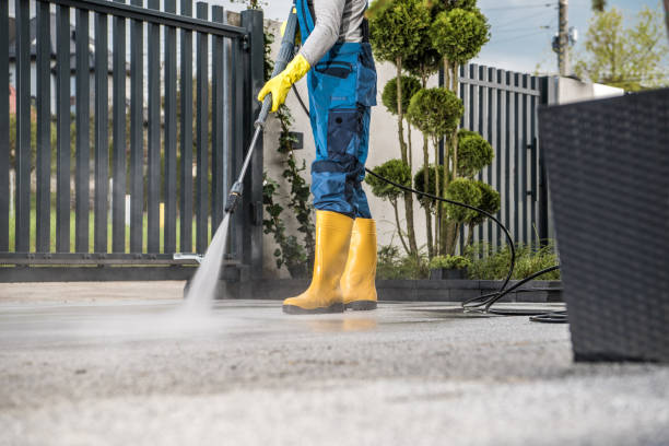 Best Sidewalk and Walkway Cleaning  in Edgewood, PA
